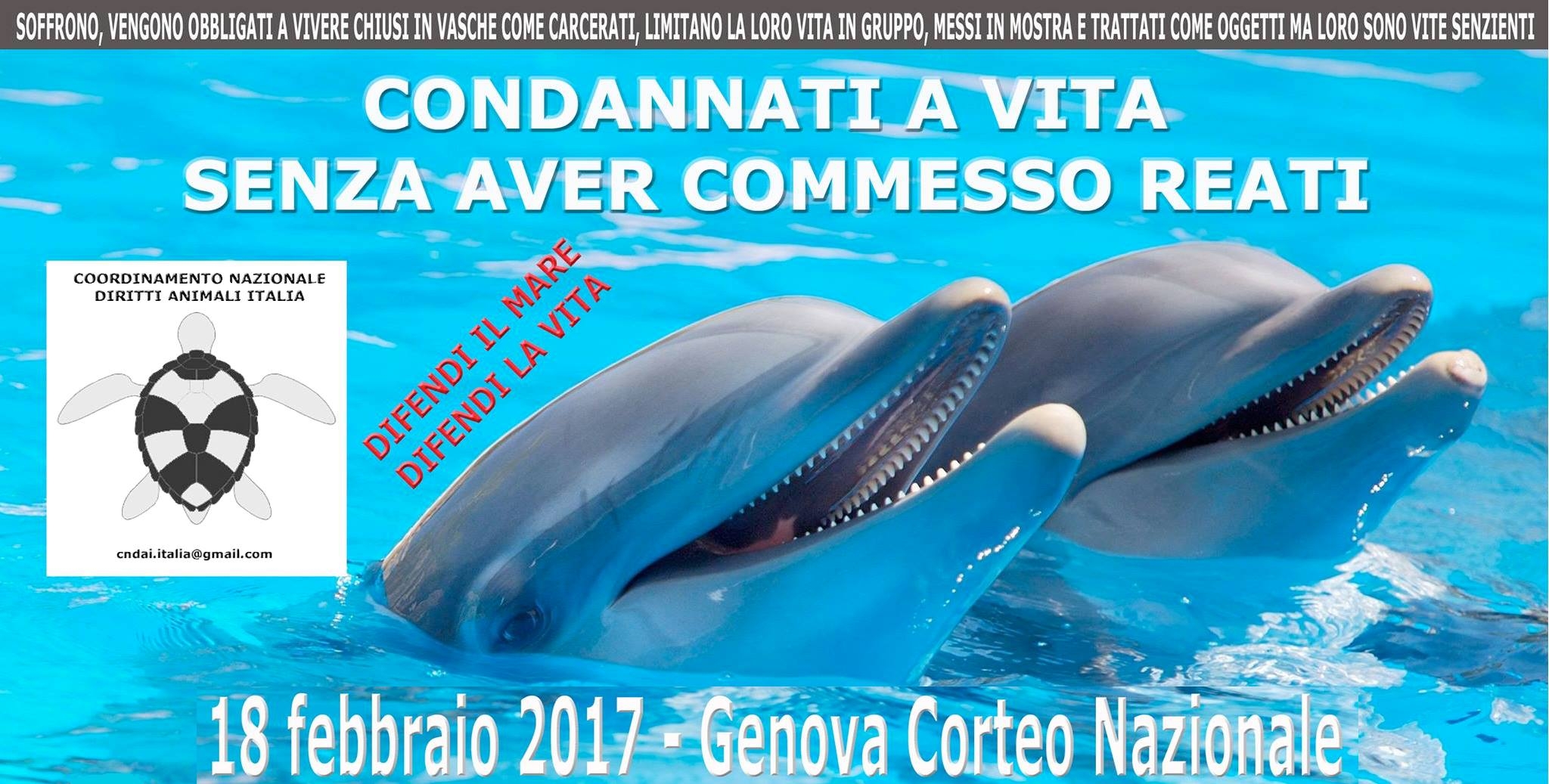 5003d452a8da016f3ed02a6385cf54e8