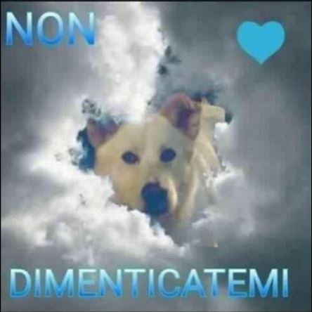 d092a7ea9dcb3e71938975c579e85d9c
