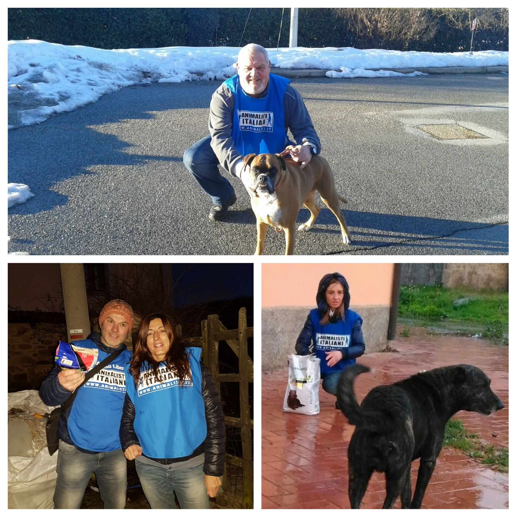 59107b985636086705aabc0c717a42ae