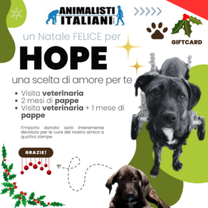 Animalisti-Italiani-Gift-Card-Festivita-Natale-new-Hope