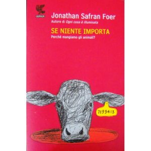 se-niente-importa-di-jsfoer