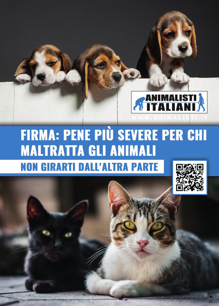 volantino-petizione-1 volantino-petizione-1