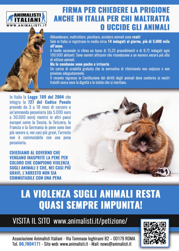 volantino-petizione-2 volantino-petizione-2