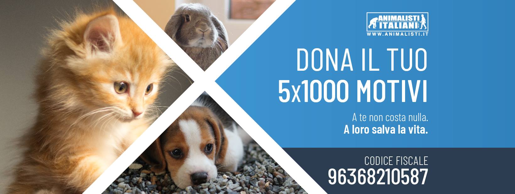 5x1000_Animalisti Italiani Onlus