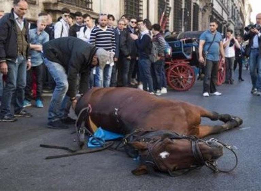 Botticelle