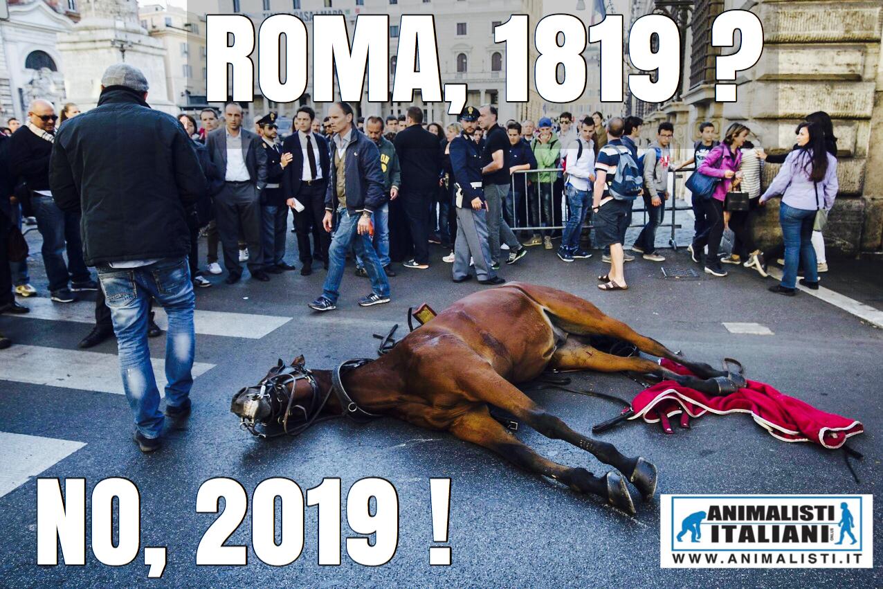 Botticelle