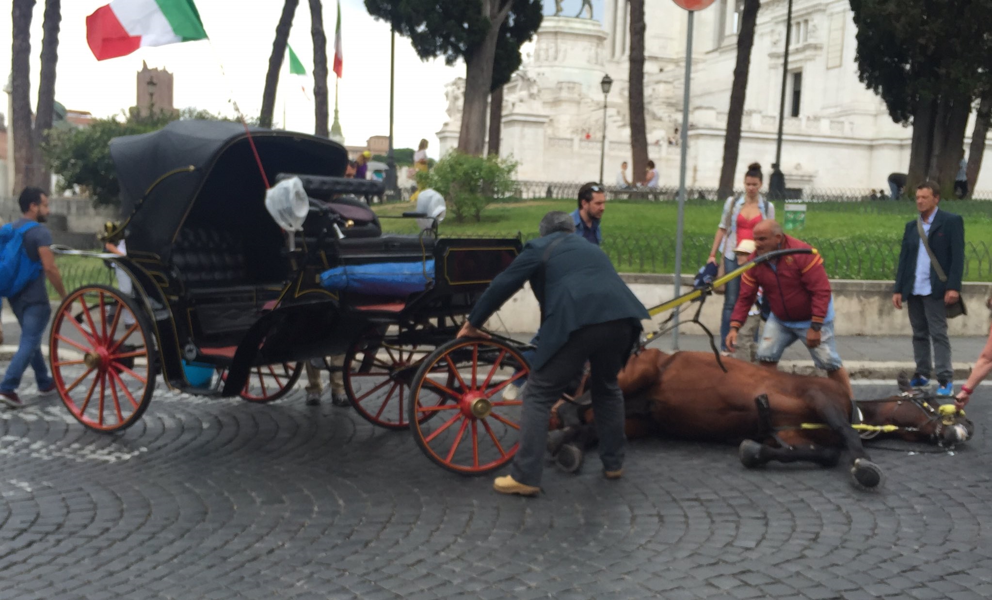 botticelle-roma