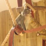 IMG_1605 IMG_1605