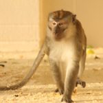 IMG_1623