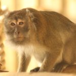 IMG_1638 IMG_1638
