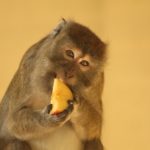 IMG_1648