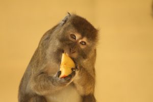 IMG_1648