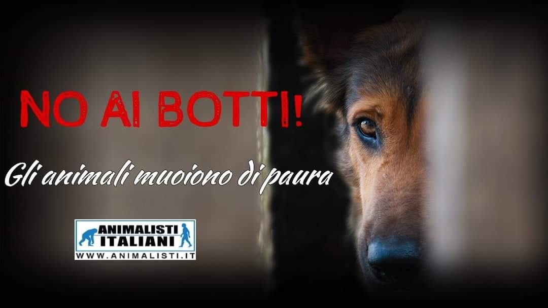 NO AI BOTTI