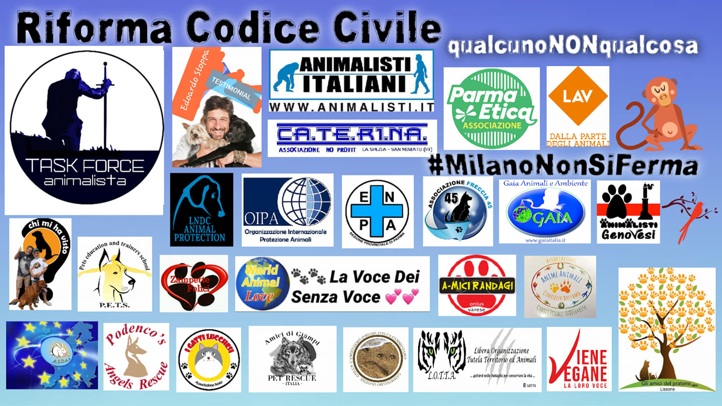 Corteo