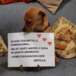 1 (27)