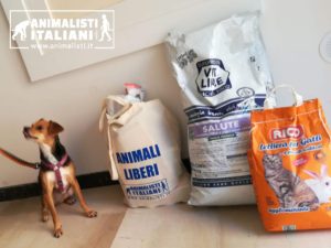 Consegna cibo_1