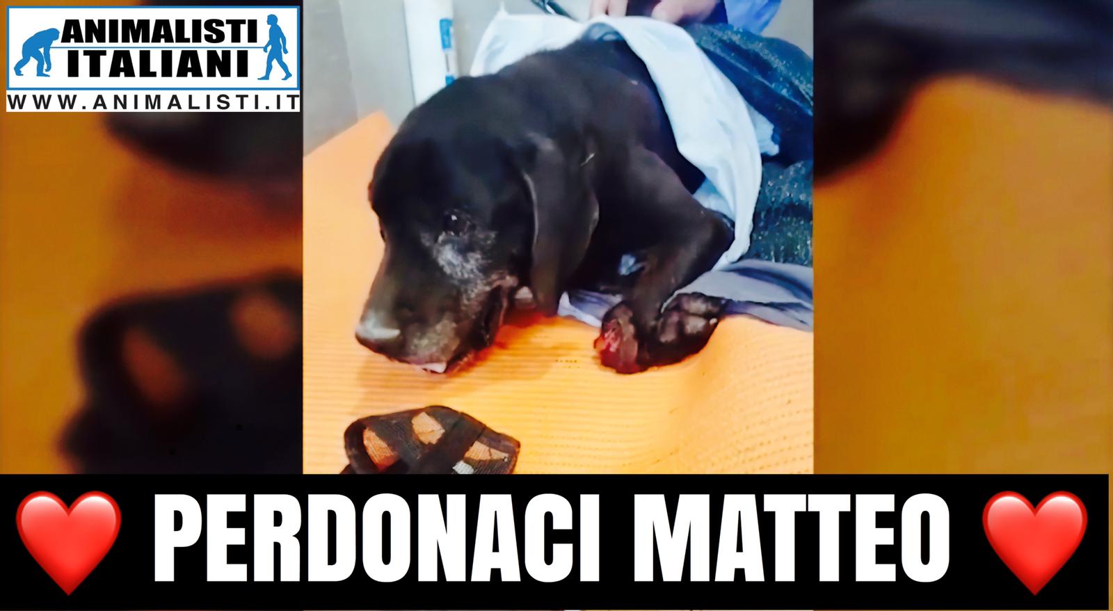 Matteo