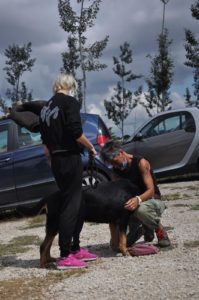 Tyson, Erika