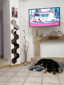 Tyson a casa
