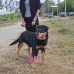 Tyson e Erika Tyson e Erika