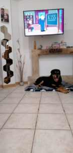Tyson nella nuova casa