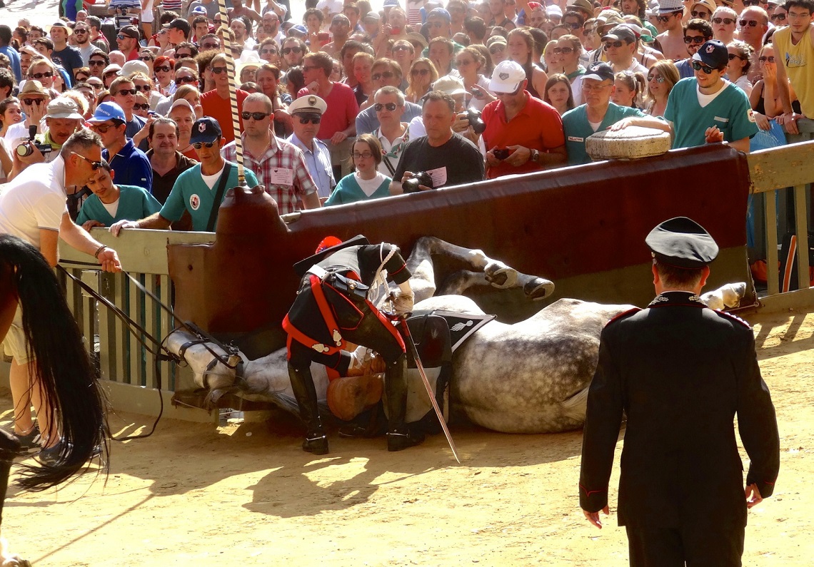 cavallo-caduto