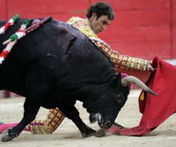 Torero