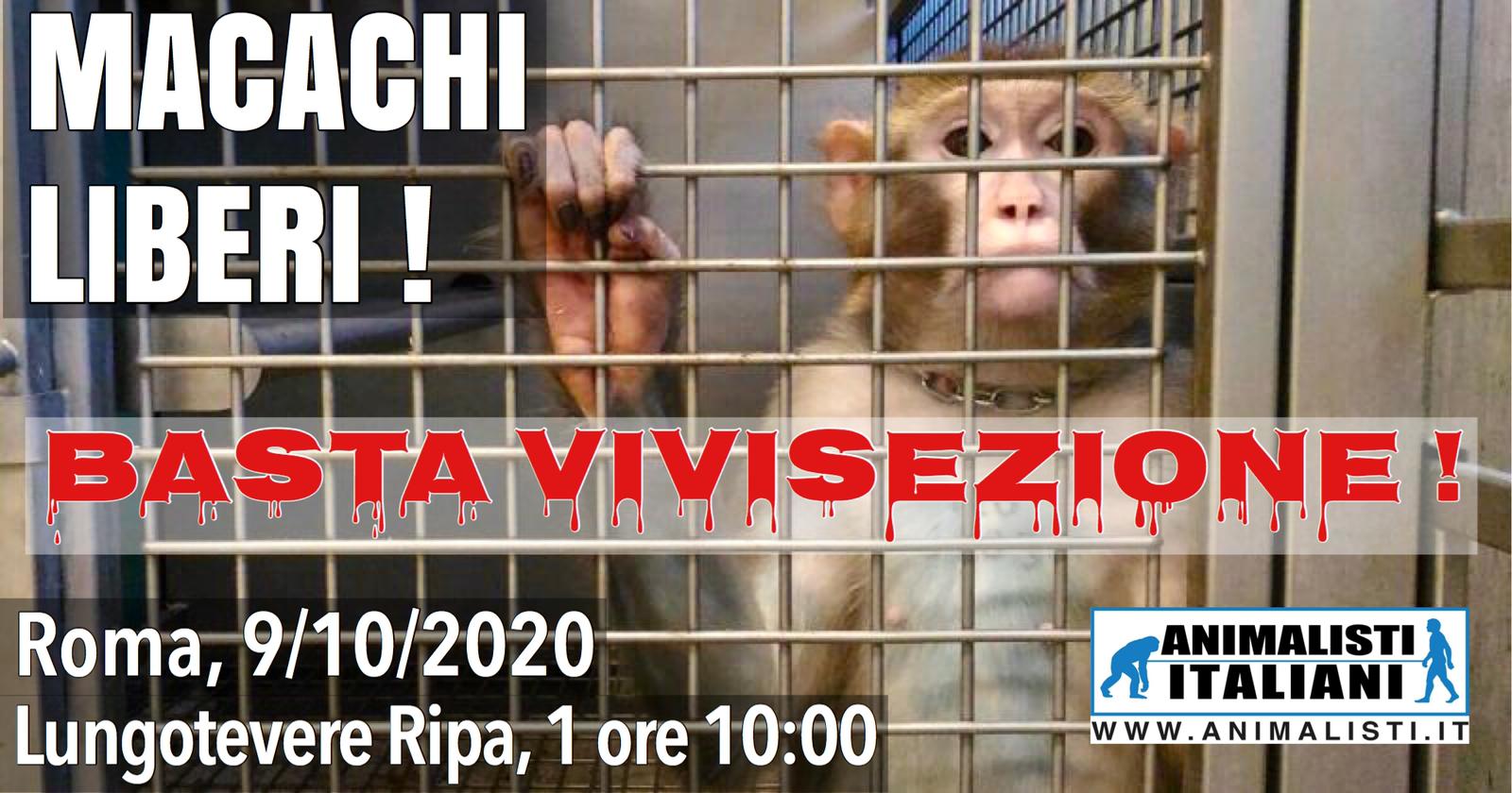 Copertina evento