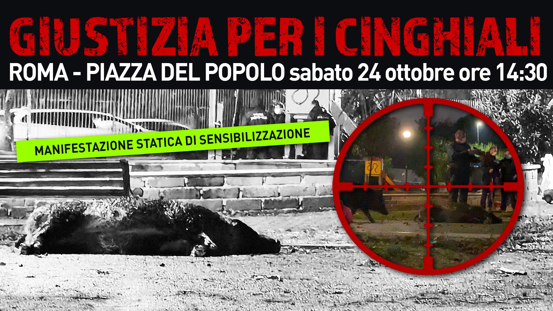 Foto evento_Cinghiali