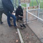 Preparazione della gabbia per il salvataggio Preparazione della gabbia per il salvataggio