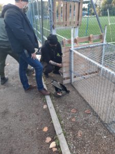 Preparazione della gabbia per il salvataggio