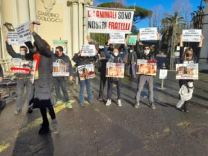Manifestazione animalista al Bioparco di Roma_5
