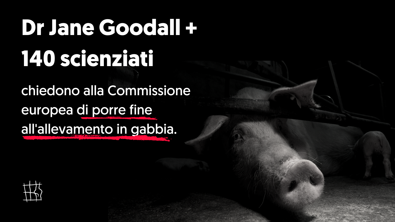 TW_ITALY (3)