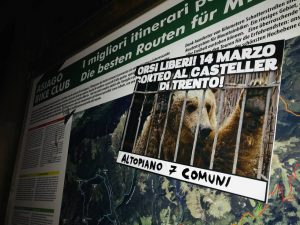 asiago