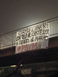 pavia