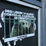 vicenza