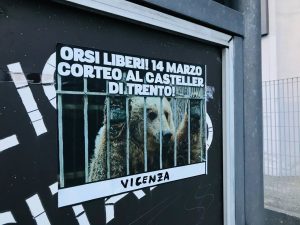 vicenza