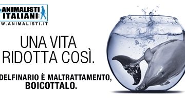 Campagna