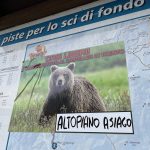 Atopiano Asiago (1)