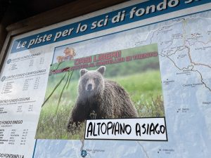 Atopiano Asiago (1)