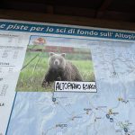 Atopiano Asiago (2)