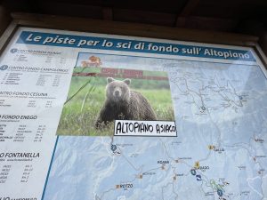 Atopiano Asiago (2)