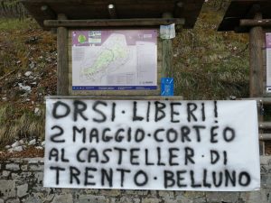 Belluno zona Bolzano parco delle dolomiti (1)