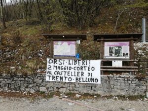 Belluno zona Bolzano parco delle dolomiti (2)
