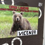 Fiera di Vicenza (2)
