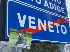 confine Veneto - Trentino (1)