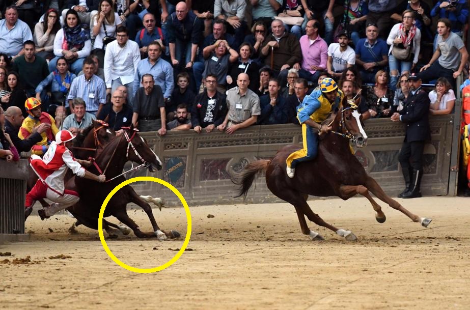 FONTE https://guidominciotti.blog.ilsole24ore.com/2018/10/22/palio-di-siena-il-consigliere-rai-lagana-fuori-luogo-trasmetterlo/