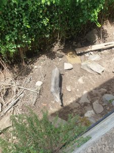 Foto1 (2)