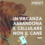Abbandono