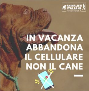 Abbandono